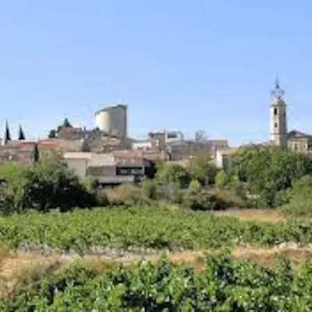 Tatil Evi Mas De Village Avec Piscine Et Grand Jardin Cloture