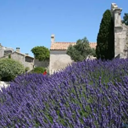 Mas De Village Avec Piscine Et Grand Jardin Cloture Fournès
