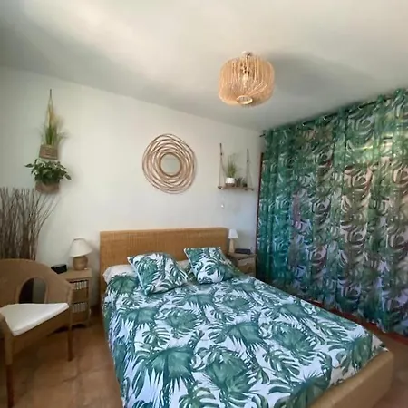 Mas De Village Avec Piscine Et Grand Jardin Cloture Tatil Evi *